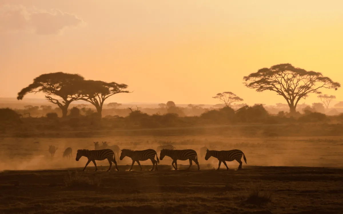 AFRICADO-SUL-4KWALLPAER-VIAGENS-PONTOS-TURISTICOS