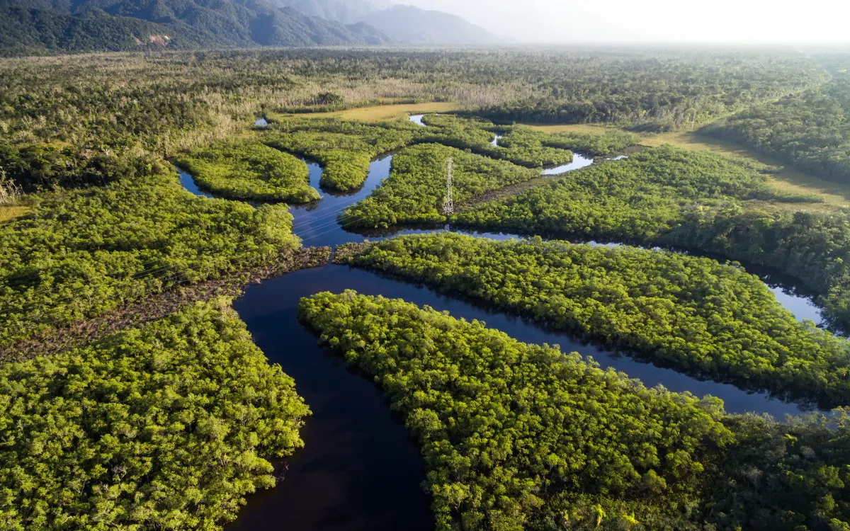 brasil-4k-cidades-turismo-passaporte-violencia-no-brasil-natureza-amazonas