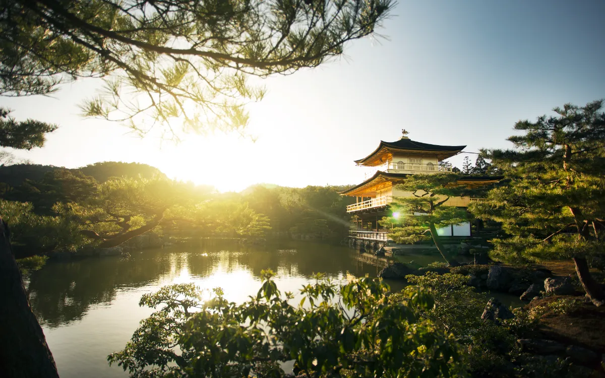japao-tokyo-shibuya-cruzamento-noite-templo-dourado-kin-kaku-outono-folhas-vermelhas-arashiyama-tradicionais-vila-shirakawa