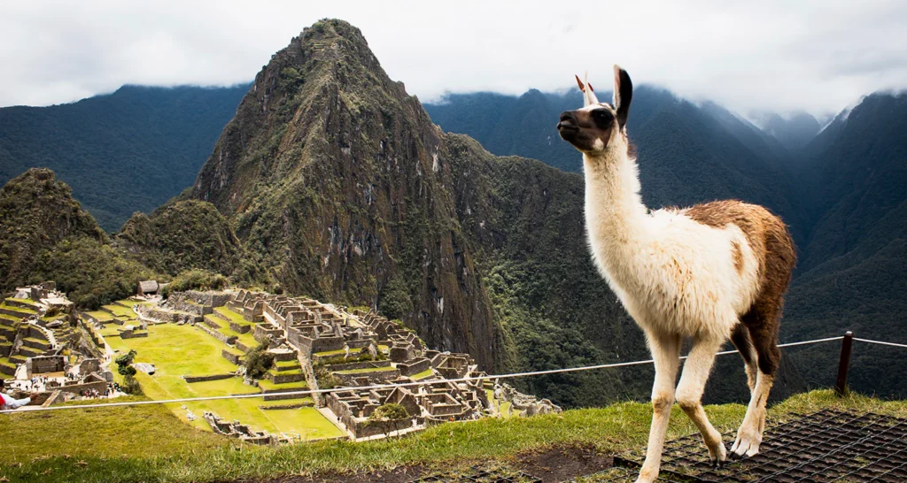 Machu Picchu