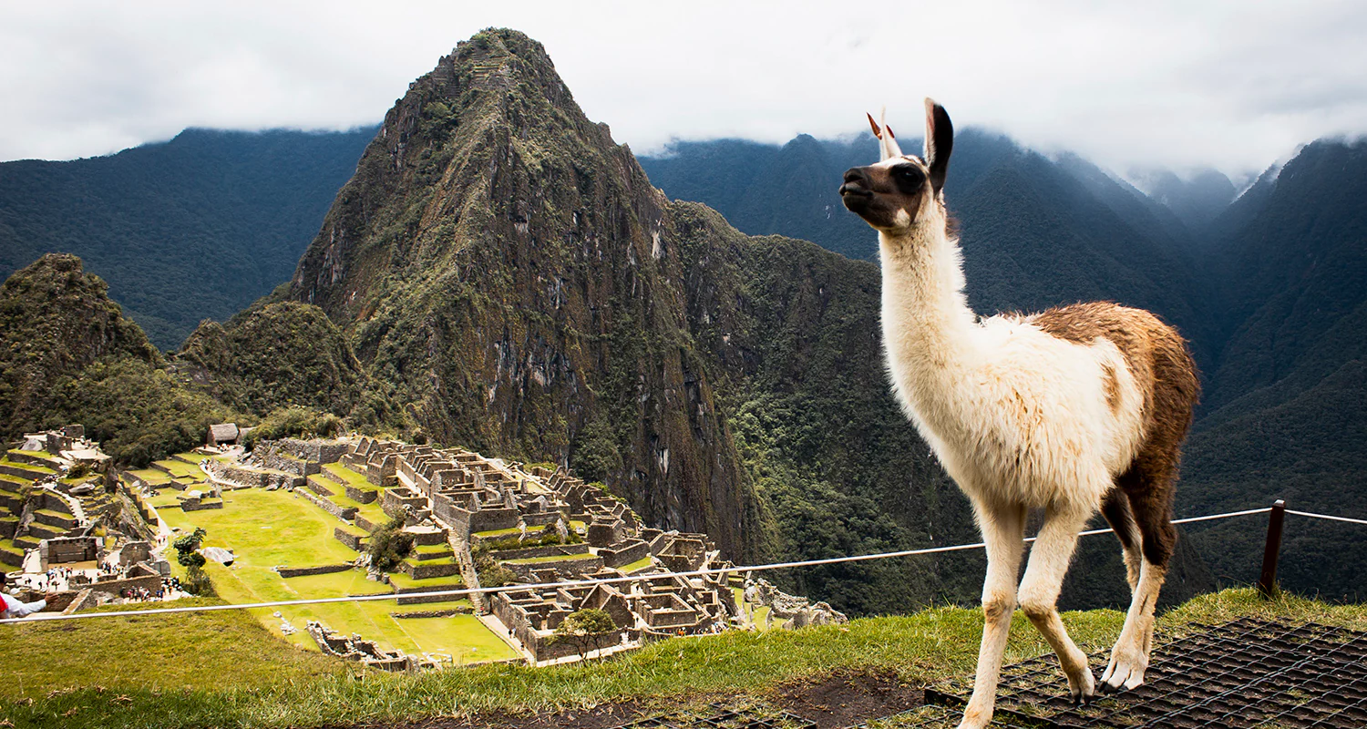 Machu Picchu