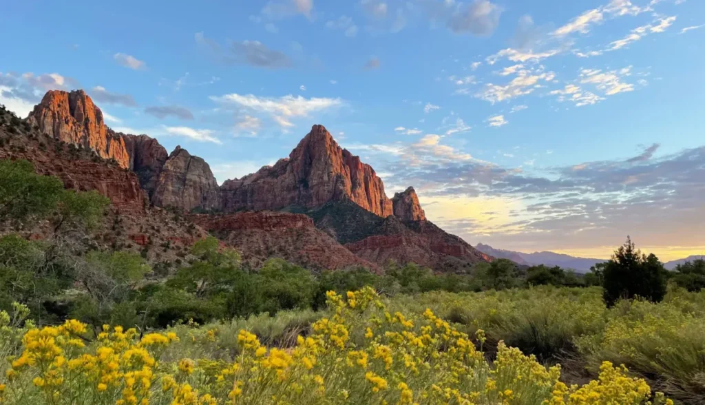 Zion National Park